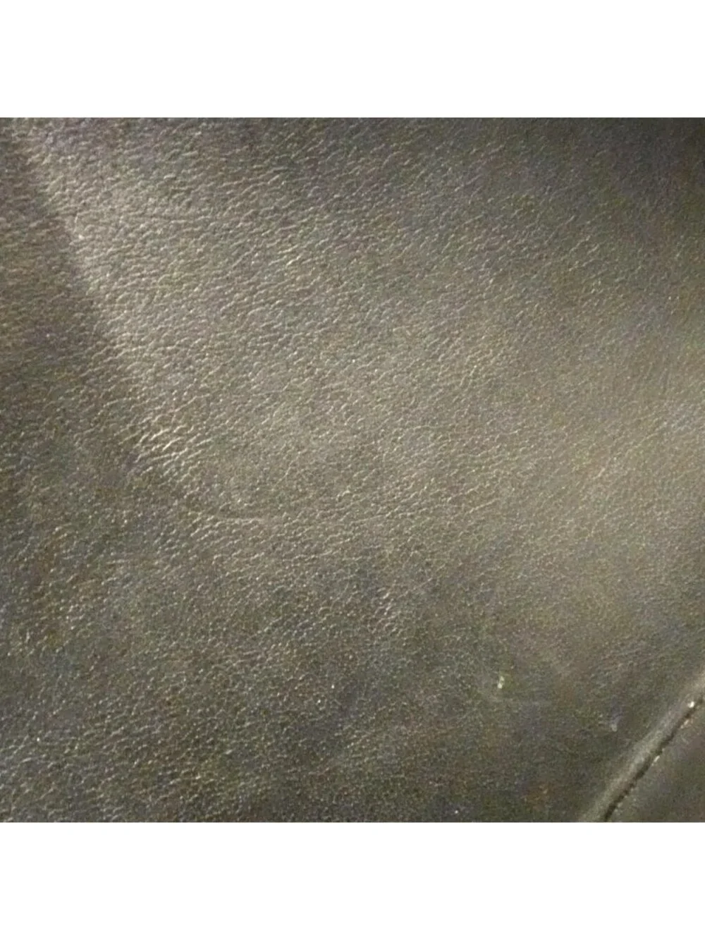 Louis Vuitton brand louis